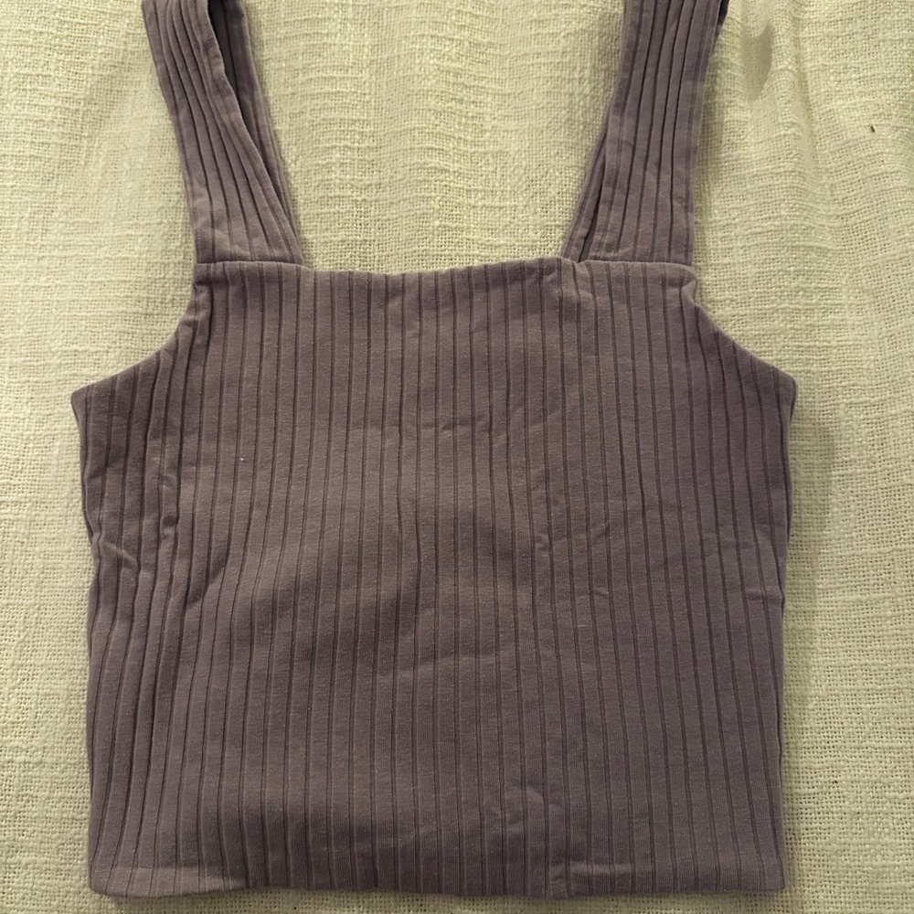 American Eagle Outfitters Tan Ribbed Sleeveless Crop Top